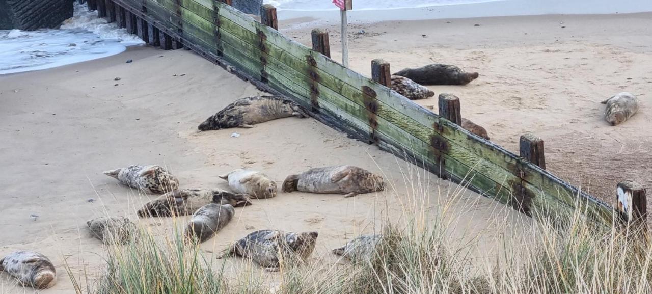 Twin Palms Guesthouse Great Yarmouth Eksteriør bilde