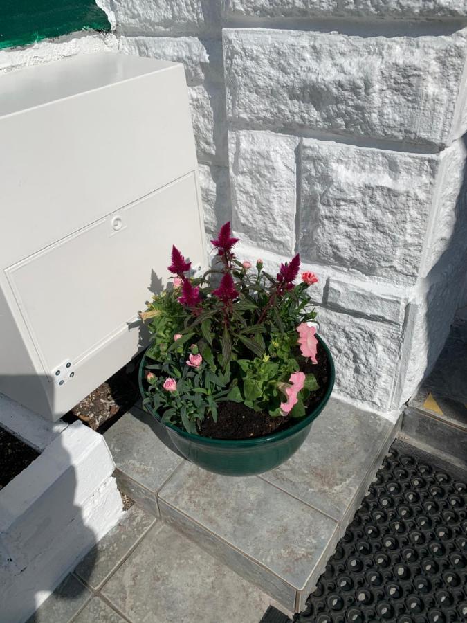 Twin Palms Guesthouse Great Yarmouth Eksteriør bilde